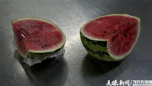 娱乐吃菌瓜,探寻娱乐与美食的完美融合 第2张 娱乐吃菌瓜,探寻娱乐与美食的完美融合 第2张